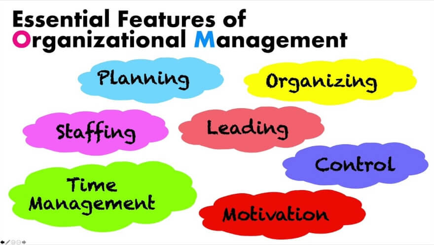 Introduction to Organizational Management
